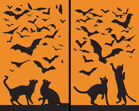Wow Windows translucent window poster Cats and Bats